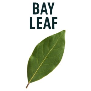 Bay Leaf