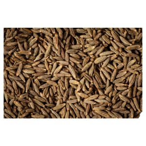 Caraway Seeds