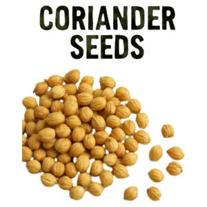 Coriander Seeds