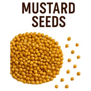 Mustard Seeds